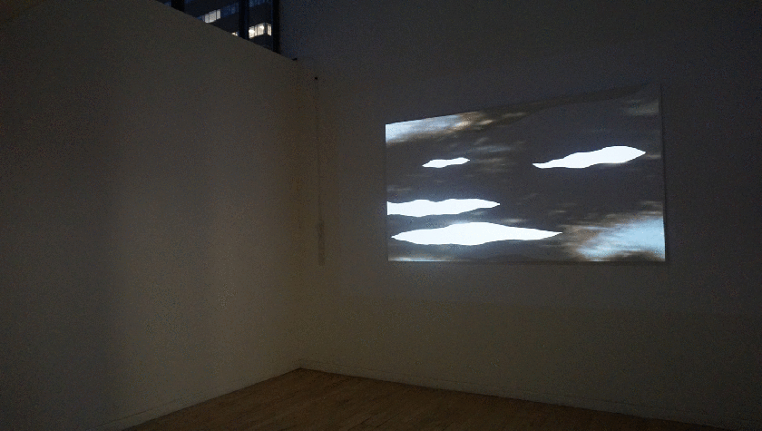 www_GIFCreator_me_M556ab